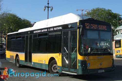 автобусы в таллин из спб: все перевозчики и условия